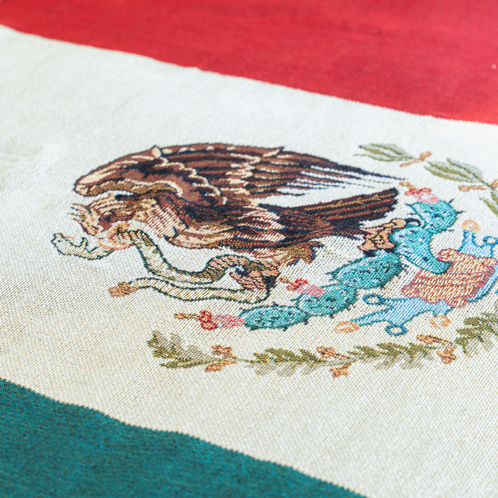 Mexico Flag Woven Throw Blanket – Cotton-Poly Blend | Sofa, Bed & Wall Décor